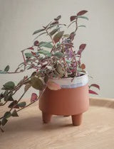Load image into Gallery viewer, Halston Pot 16 cms
