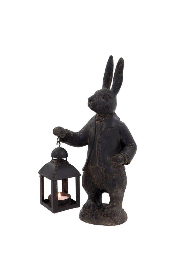 Hare with Lantern